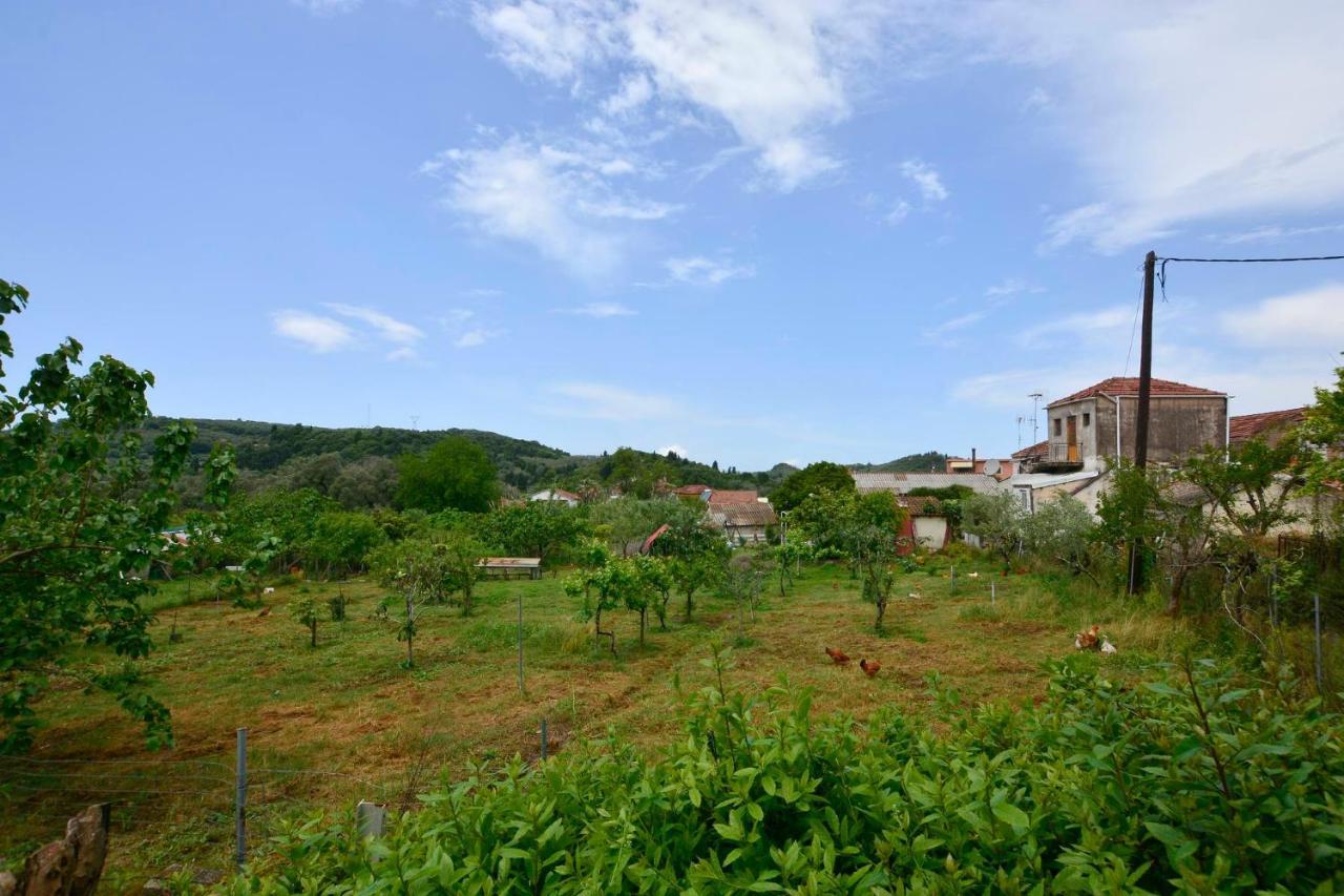Balukas House * Dragotina