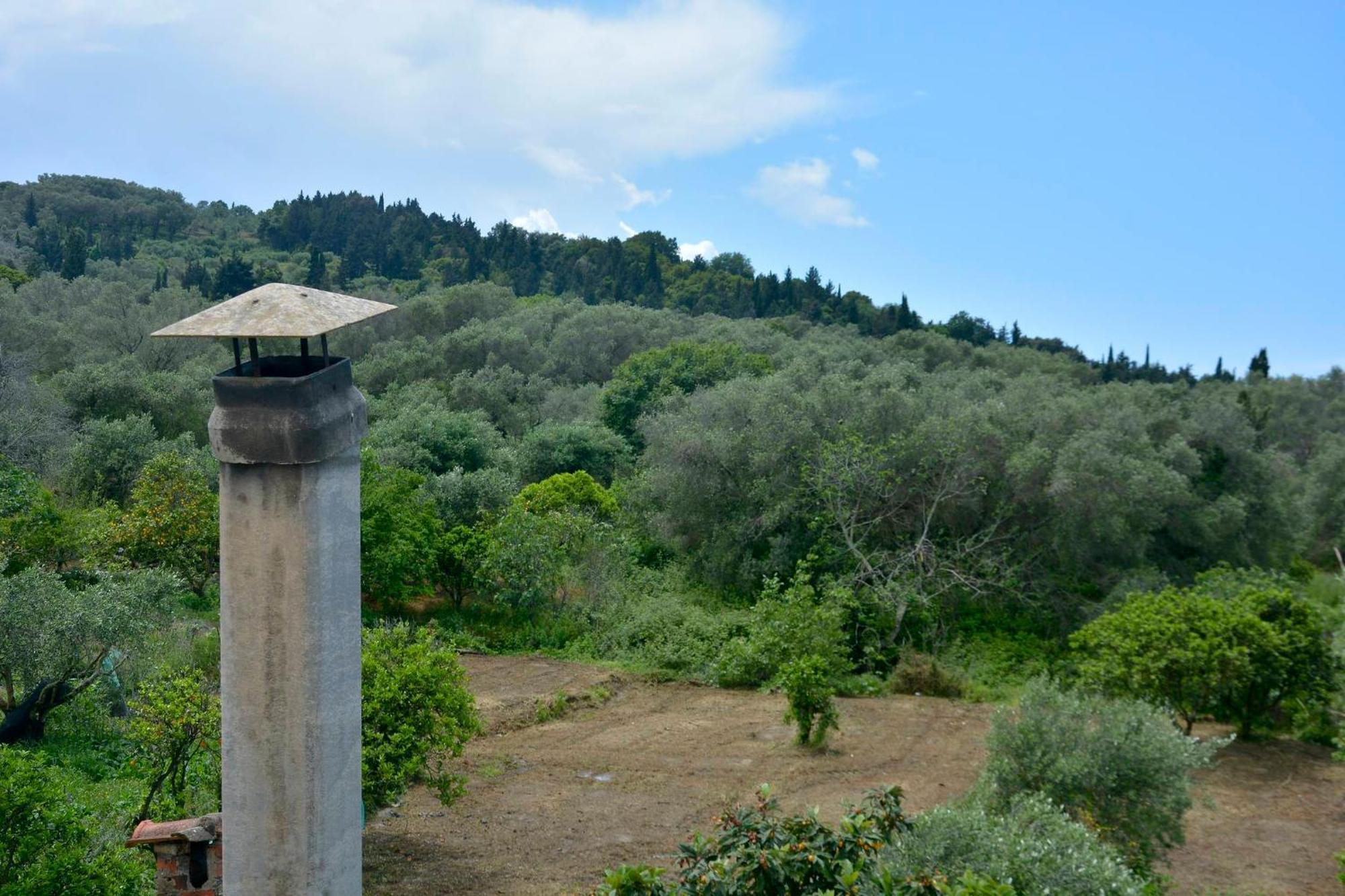 Balukas House Holiday home Dragotina